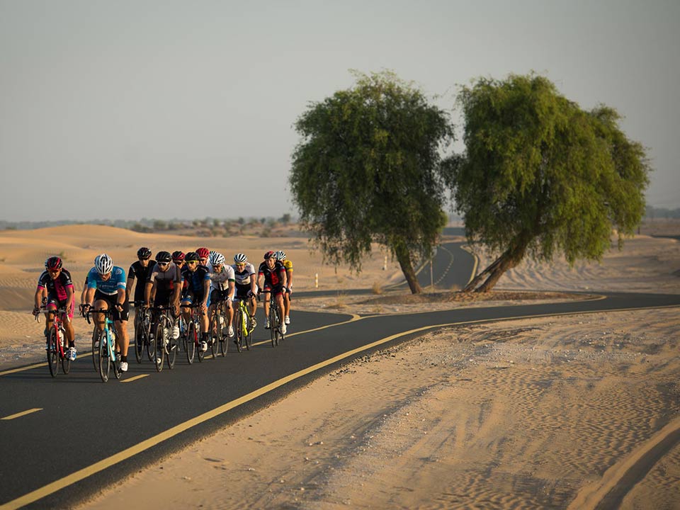 Finish-Line-Coaching-Image-16
